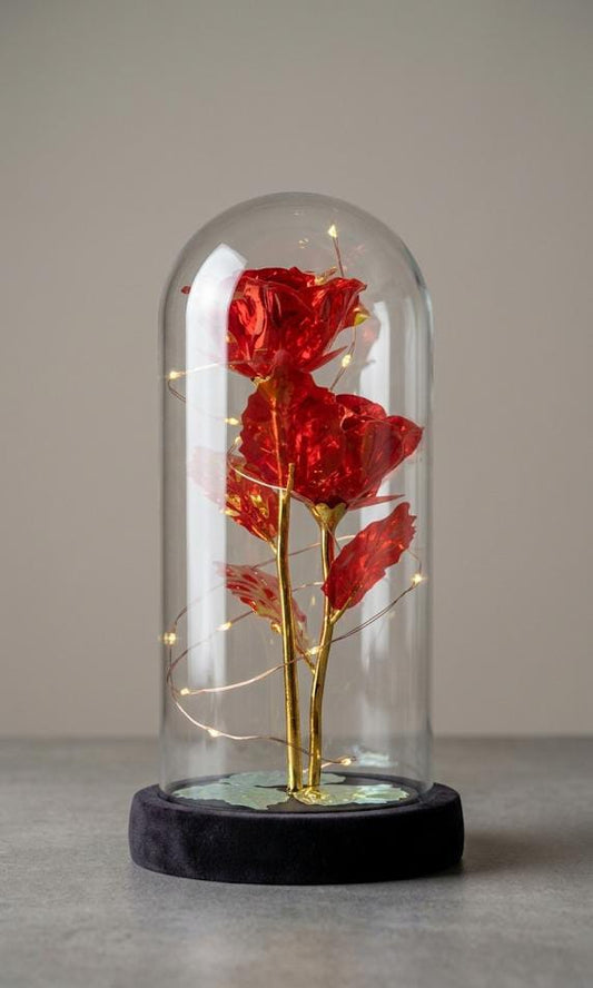 Rosas Eternas con luces led